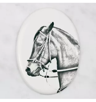 Paso Fino - Gedenktafel mit einem Pferdefoto, Grabplatte mit Druck, personalisierte ovale Platte von Art-Dog.