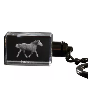 Percheron - Crystal pendant with photo of a horse, illuminated pendant, unique gift by Art-Dog brand