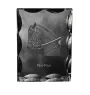Paso Fino - crystal with a picture of a horse, glass statuette with a picture, unique frame with a picture from Art-Dog brand