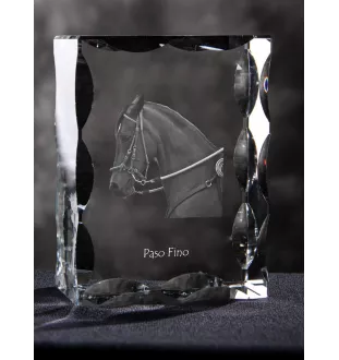 Paso Fino - kryształ ze zdjęciem konia, szklana statuetka ze zdjęciem, wyjątkowa ramka ze zdjęciem marki Art-Dog