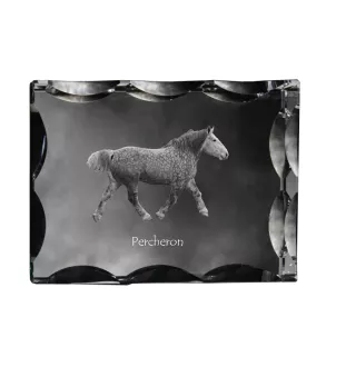 Percheron - crystal with a picture of a horse, glass statuette with a picture, unique frame with a picture from Art-Dog brand