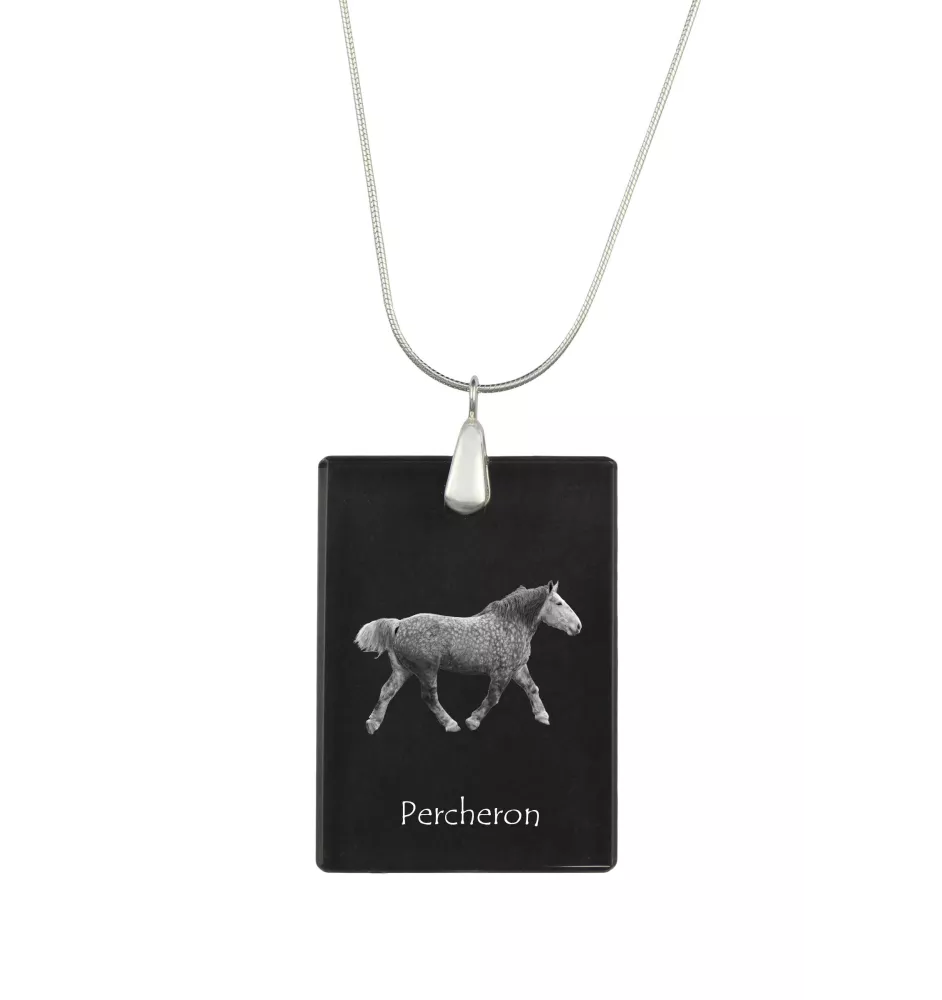 Percheron - Crystal pendant with horse, silver necklace with photo, personalised pendant by Art-Dog brand