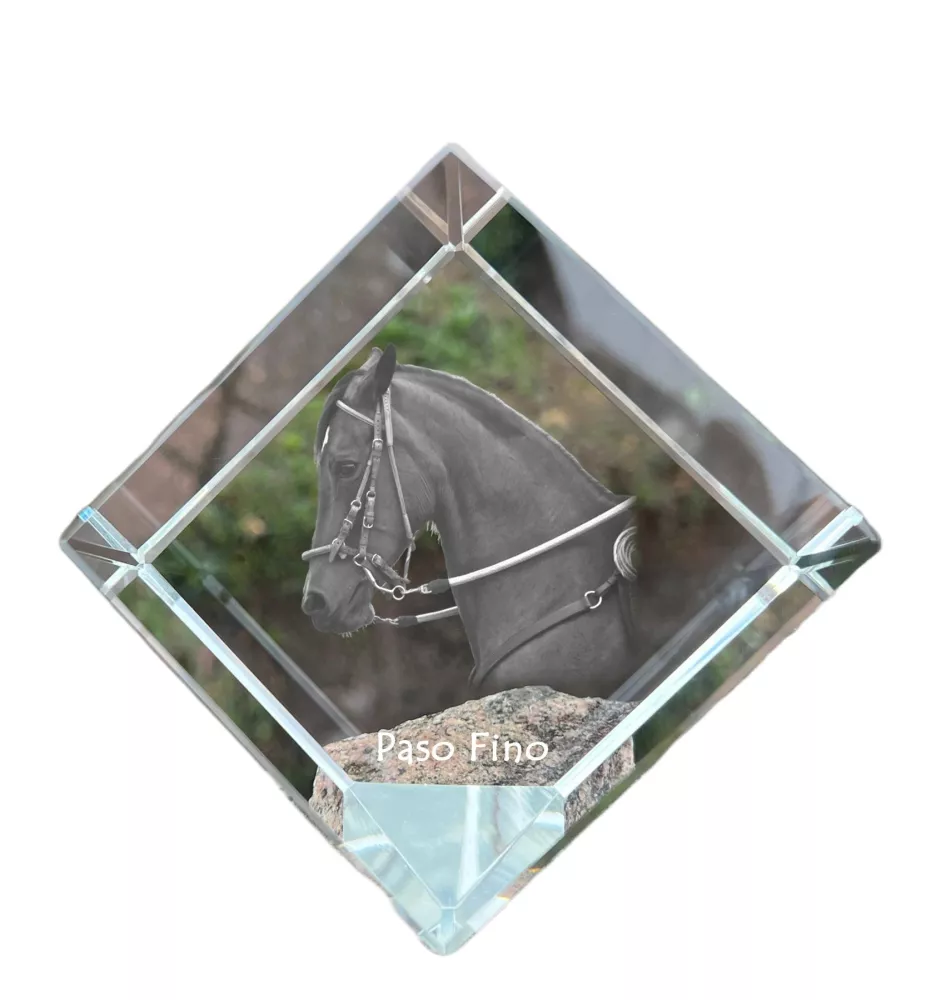 Paso Fino - crystal cube with a horse picture, horse picture in crystal, cubic paperweight from Art-Dog brand