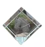 Paso Fino - crystal cube with a horse picture, horse picture in crystal, cubic paperweight from Art-Dog brand