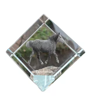 Percheron - Kristallwürfel mit Pferdebild, Pferdebild im Kristall, sechseckiger Papierclip der Marke Art-Dog