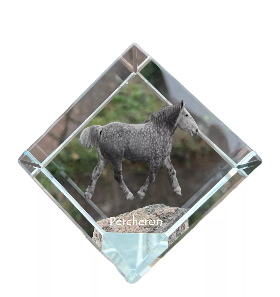 Percheron - un cube de cristal avec une photo de cheval, une photo de cheval dans le cristal, un presse-papiers cubique de la marque Art-Dog