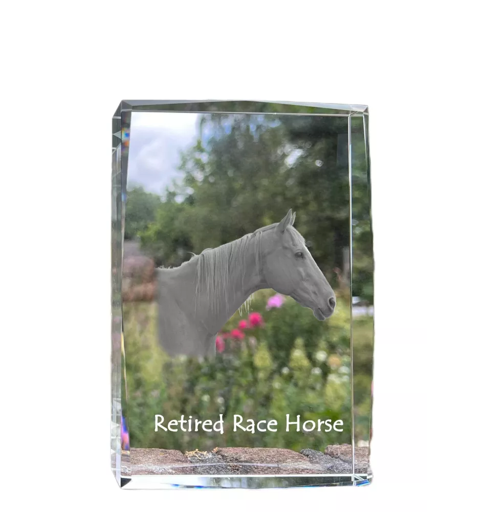 Cheval de course à la retraite - cristal avec une photo de cheval, photo sous verre, exposition moderne de la marque de photos Art-Dog