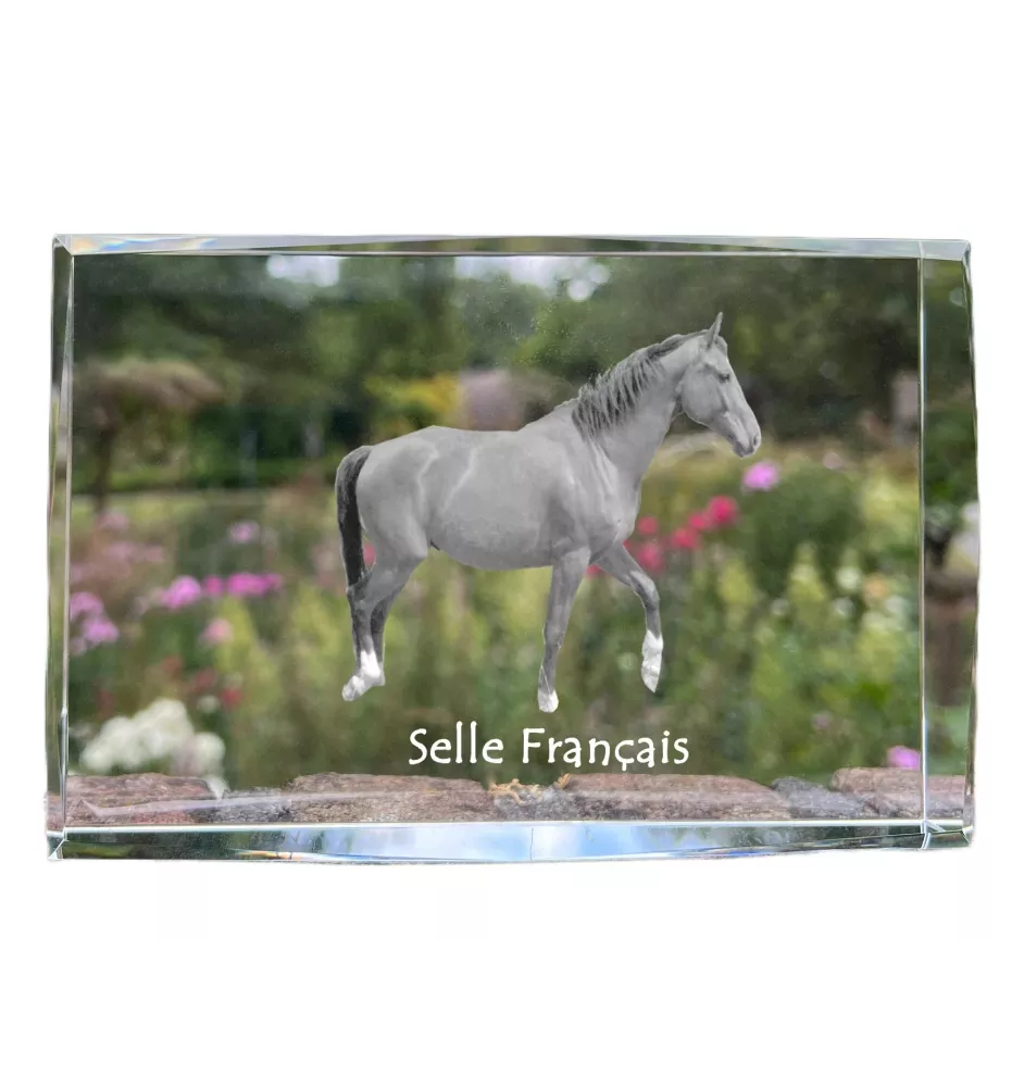 Selle Francais - crystal with a picture of a horse, photo in glass, modern exhibition of Art-Dog brand photo