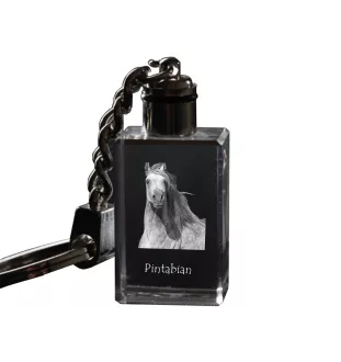 Pintabian - Crystal pendant with photo of a horse, illuminated pendant, unique gift by Art-Dog brand