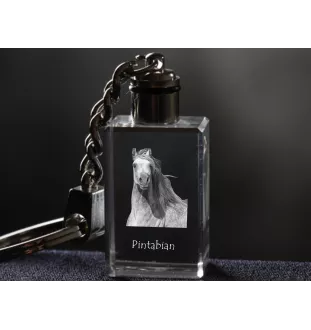Pintabian - Crystal pendant with photo of a horse, illuminated pendant, unique gift by Art-Dog brand