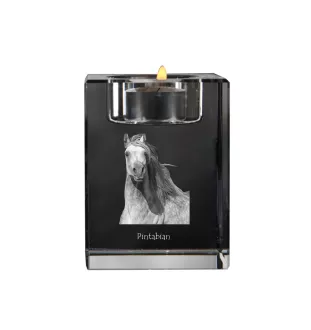 Pintabian - Candle holder with picture of a horse, crystal tealight holder, personalised gift by Art-Dog brand
