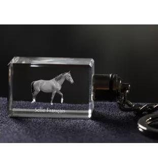 Selle Francais - Crystal pendant with photo of a horse, illuminated pendant, unique gift by Art-Dog brand