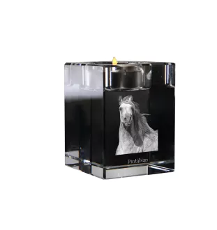 Pintabian - Kerzenhalter mit Bild eines Pferdes, Teelichthalter aus Kristall, personalisiertes Geschenk der Marke Art-Dog