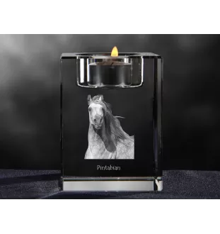 Pintabian - Bougeoir avec image d'un cheval, porte bougie en cristal, cadeau personnalisé par la marque Art-Dog