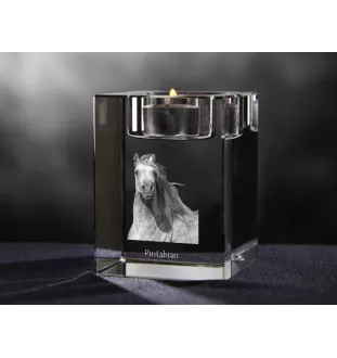 Pintabian - Bougeoir avec image d'un cheval, porte bougie en cristal, cadeau personnalisé par la marque Art-Dog