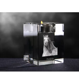 Pintabian - Bougeoir avec image d'un cheval, porte bougie en cristal, cadeau personnalisé par la marque Art-Dog