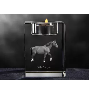 Selle Francais - Candle holder with picture of a horse, crystal tealight holder, personalised gift by Art-Dog brand