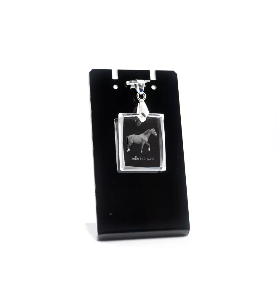 Selle Francais - Crystal pendant with horse, photo necklace, unique jewellery by Art-Dog