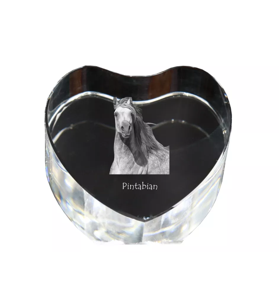 Pintabian - a photo of a horse in crystal, a crystal heart, a unique frame with a photo from the Art-Dog brand