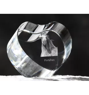 Pintabian - a photo of a horse in crystal, a crystal heart, a unique frame with a photo from the Art-Dog brand