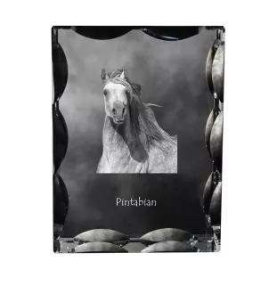Pintabian - crystal with a picture of a horse, glass statuette with a picture, unique frame with a picture from Art-Dog brand