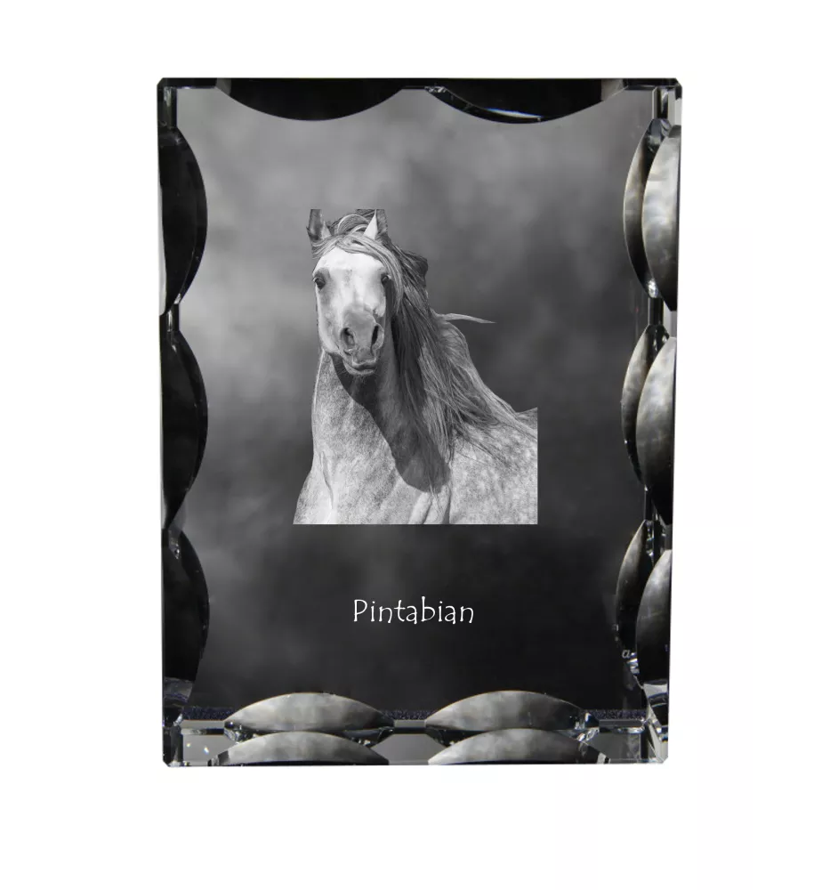 Pintabian - crystal with a picture of a horse, glass statuette with a picture, unique frame with a picture from Art-Dog brand