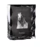 Pintabian - crystal with a picture of a horse, glass statuette with a picture, unique frame with a picture from Art-Dog brand