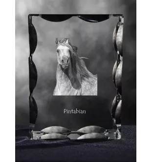 Pintabian - crystal with a picture of a horse, glass statuette with a picture, unique frame with a picture from Art-Dog brand