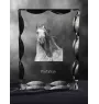 Pintabian - crystal with a picture of a horse, glass statuette with a picture, unique frame with a picture from Art-Dog brand