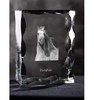 Pintabian - Kristall mit einem Pferdebild, Glasstatuette mit einem Bild, einzigartiger Bilderrahmen der Marke Art-Dog