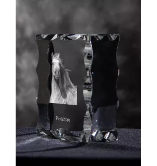 Pintabian - crystal with a picture of a horse, glass statuette with a picture, unique frame with a picture from Art-Dog brand