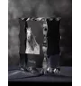 Pintabian - crystal with a picture of a horse, glass statuette with a picture, unique frame with a picture from Art-Dog brand