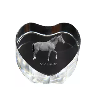 Selle Francais - Pferdefoto im Kristall, Kristallherz, einzigartiger Bilderrahmen der Marke Art-Dog