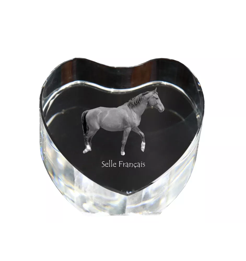Selle Français - une photo de cheval dans un cristal, un cœur en cristal, un cadre exceptionnel avec une photo de la marque Art-Dog