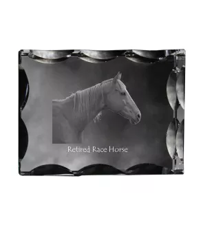 Rennpferd im Ruhestand - crystal with a picture of a horse, glass statuette with a picture, unique frame with a picture from Art-Dog brand