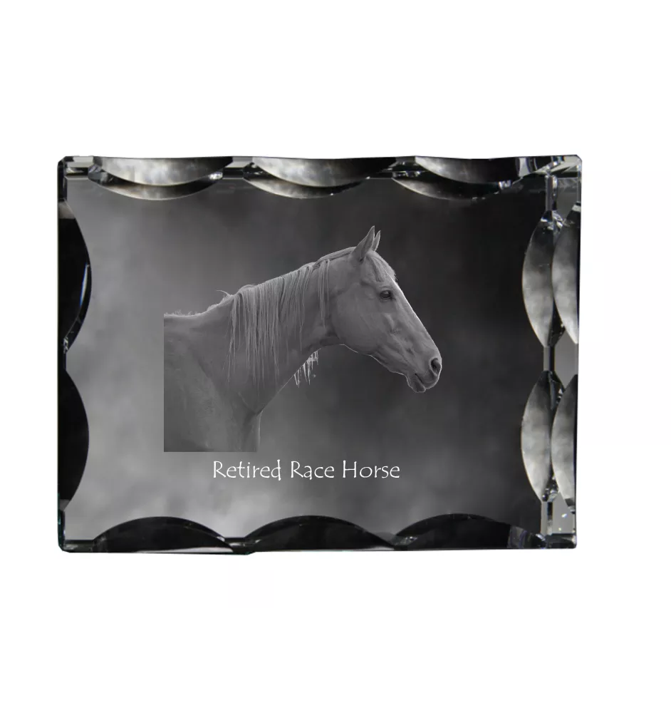 Rennpferd im Ruhestand - crystal with a picture of a horse, glass statuette with a picture, unique frame with a picture from Art-Dog brand