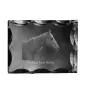 Rennpferd im Ruhestand - crystal with a picture of a horse, glass statuette with a picture, unique frame with a picture from Art-Dog brand