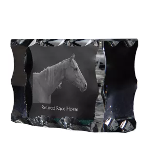 Rennpferd im Ruhestand - crystal with a picture of a horse, glass statuette with a picture, unique frame with a picture from Art-Dog brand