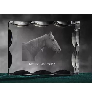Cheval de course à la retraite - Kristall mit einem Pferdebild, Glasstatuette mit einem Bild, einzigartiger Bilderrahmen der Marke Art-Dog