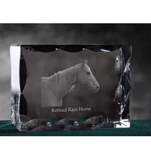 Cheval de course à la retraite - Kristall mit einem Pferdebild, Glasstatuette mit einem Bild, einzigartiger Bilderrahmen der Marke Art-Dog