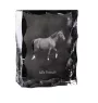 Selle Francais ramka kryształowe z koniem Art-Dog