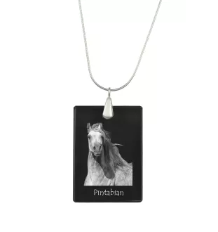 Pintabian - Crystal pendant with horse, silver necklace with photo, personalised pendant by Art-Dog brand