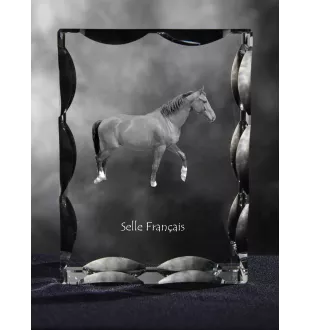 Selle Francais - crystal with a picture of a horse, glass statuette with a picture, unique frame with a picture from Art-Dog brand
