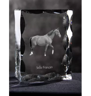 Selle Français - Kristall mit einem Pferdebild, Glasstatuette mit einem Bild, einzigartiger Bilderrahmen der Marke Art-Dog