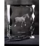 Selle Français - Kristall mit einem Pferdebild, Glasstatuette mit einem Bild, einzigartiger Bilderrahmen der Marke Art-Dog
