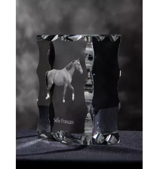 Selle Francais - kryształ ze zdjęciem konia, szklana statuetka ze zdjęciem, wyjątkowa ramka ze zdjęciem marki Art-Dog