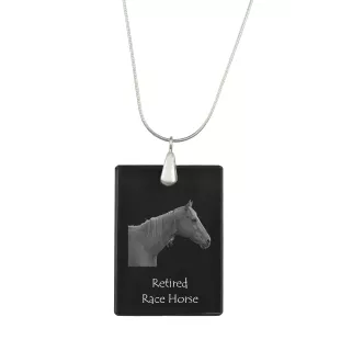 Retired Race Horse - Crystal pendant with horse, silver necklace with photo, personalised pendant by Art-Dog brand