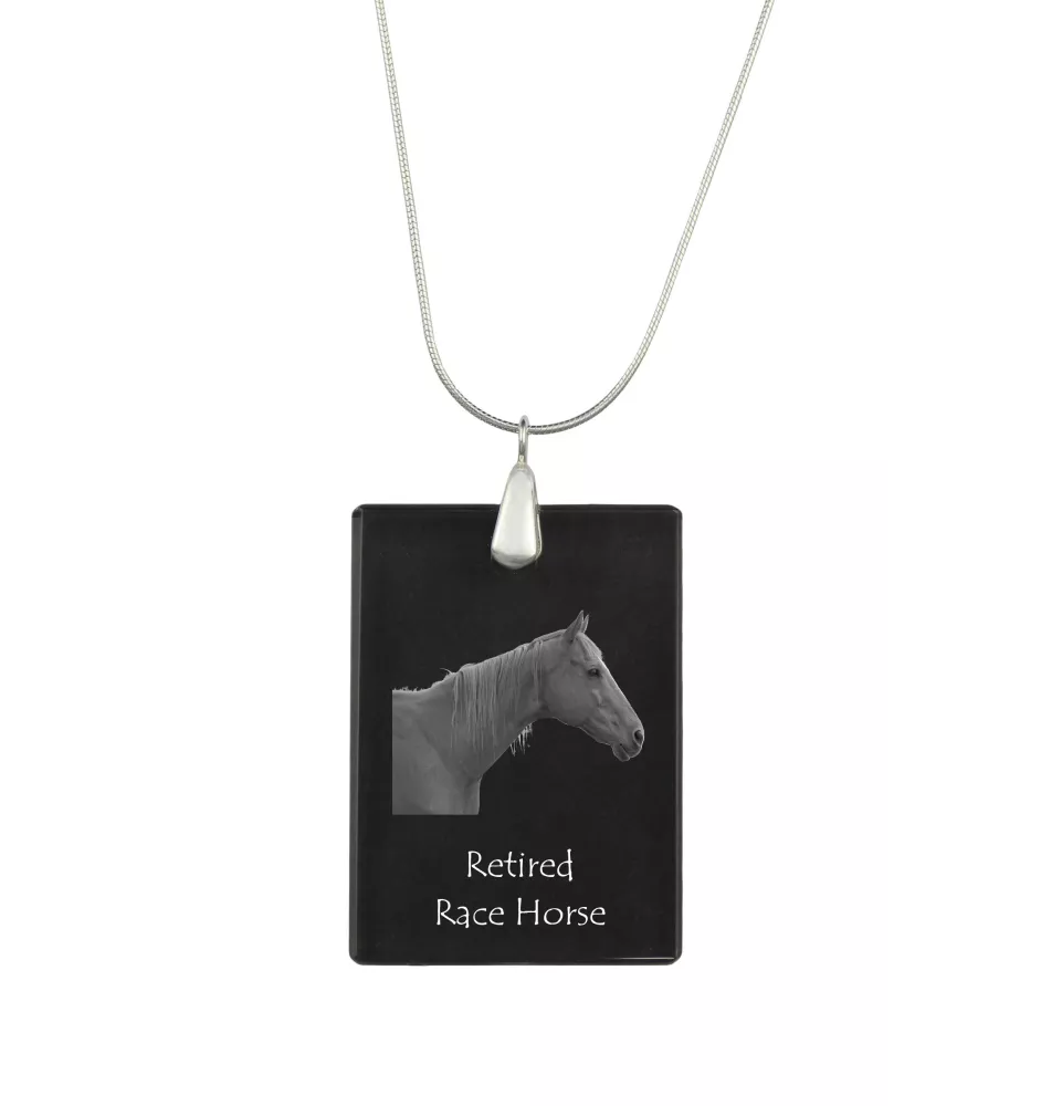 Rennpferd im Ruhestand - Crystal pendant with horse, silver necklace with photo, personalised pendant by Art-Dog brand
