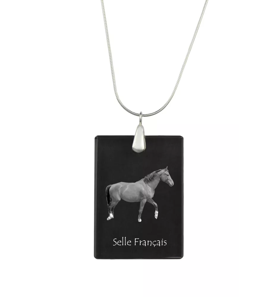Selle Français - Crystal pendant with horse, silver necklace with photo, personalised pendant by Art-Dog brand