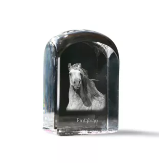 Pintabian - un cube de cristal avec une photo, une photo de cheval dans le cristal, un presse-papiers cubique de la marque Art-Dog